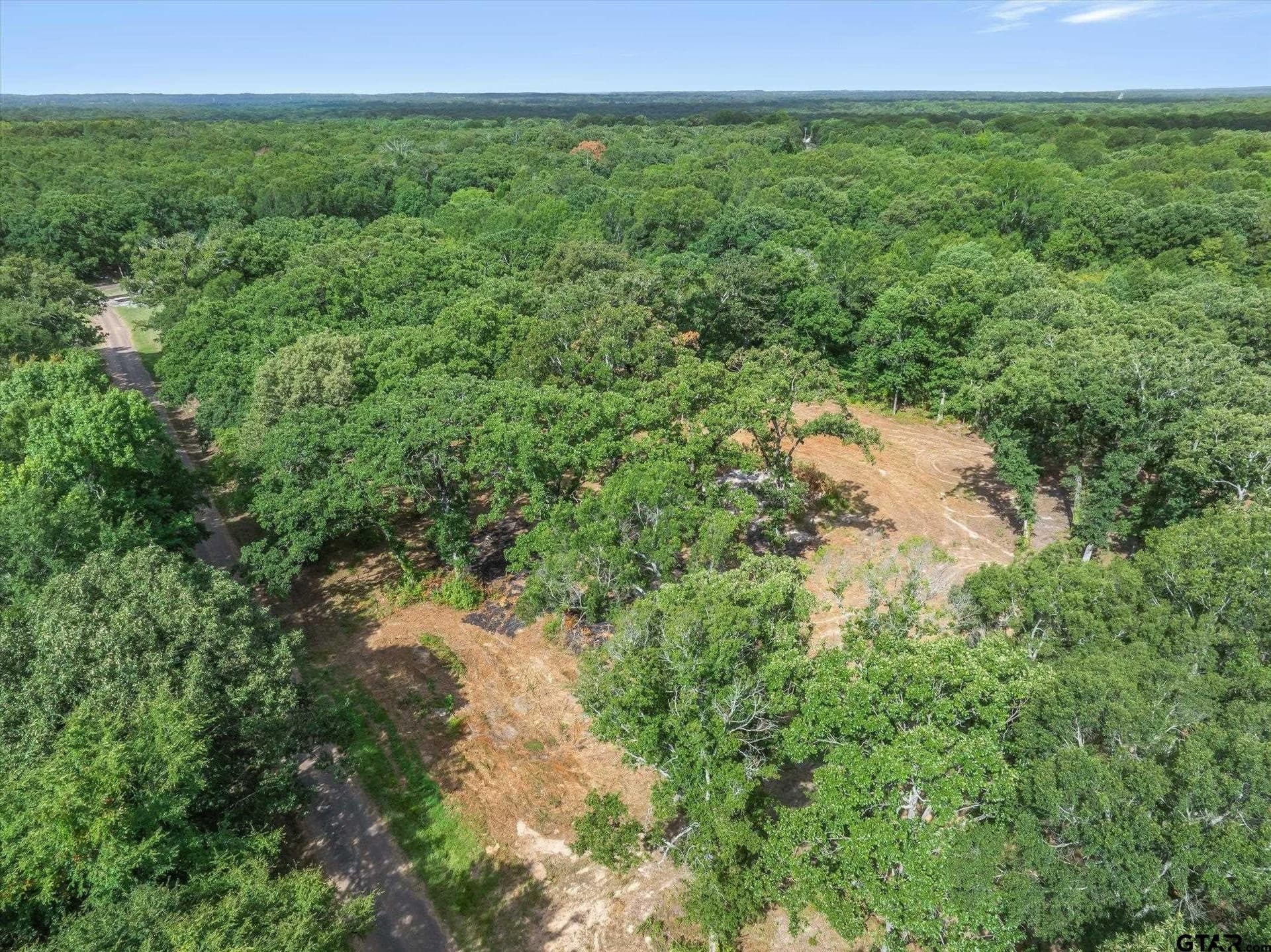 2.91 acres in Wood County gallery image 4