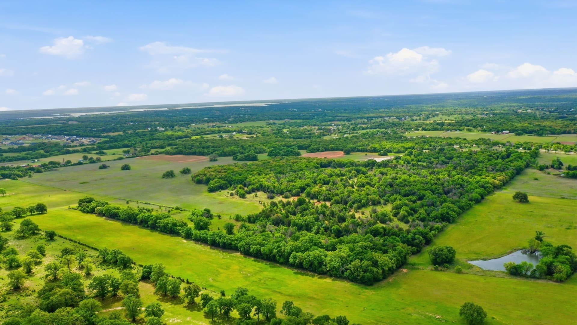 81 acres in Parker County - photo 6