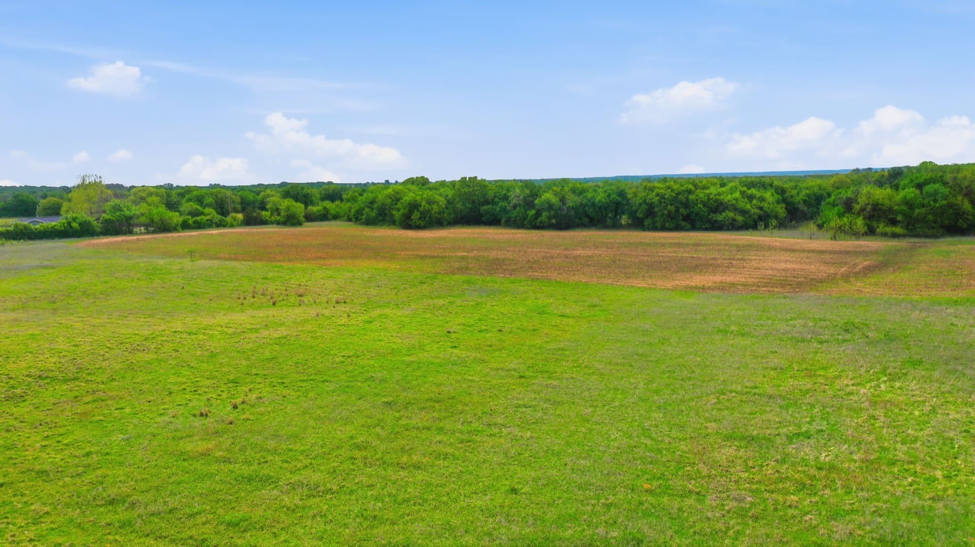 81 acres in Parker County - photo 8