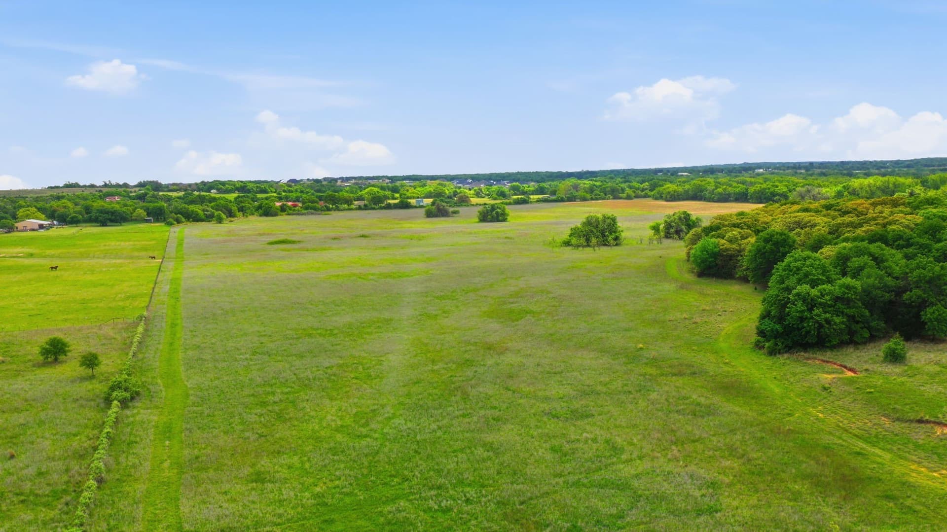 81 acres in Parker County - photo 7