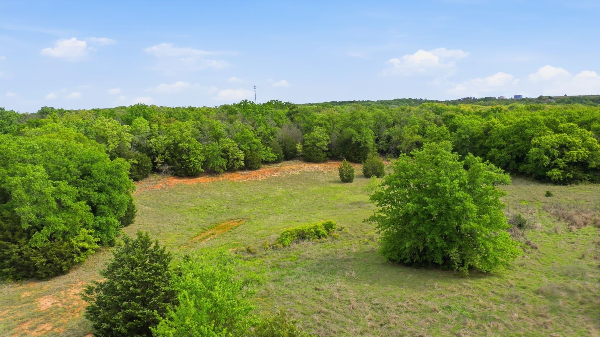81 acres in Parker County - photo 18