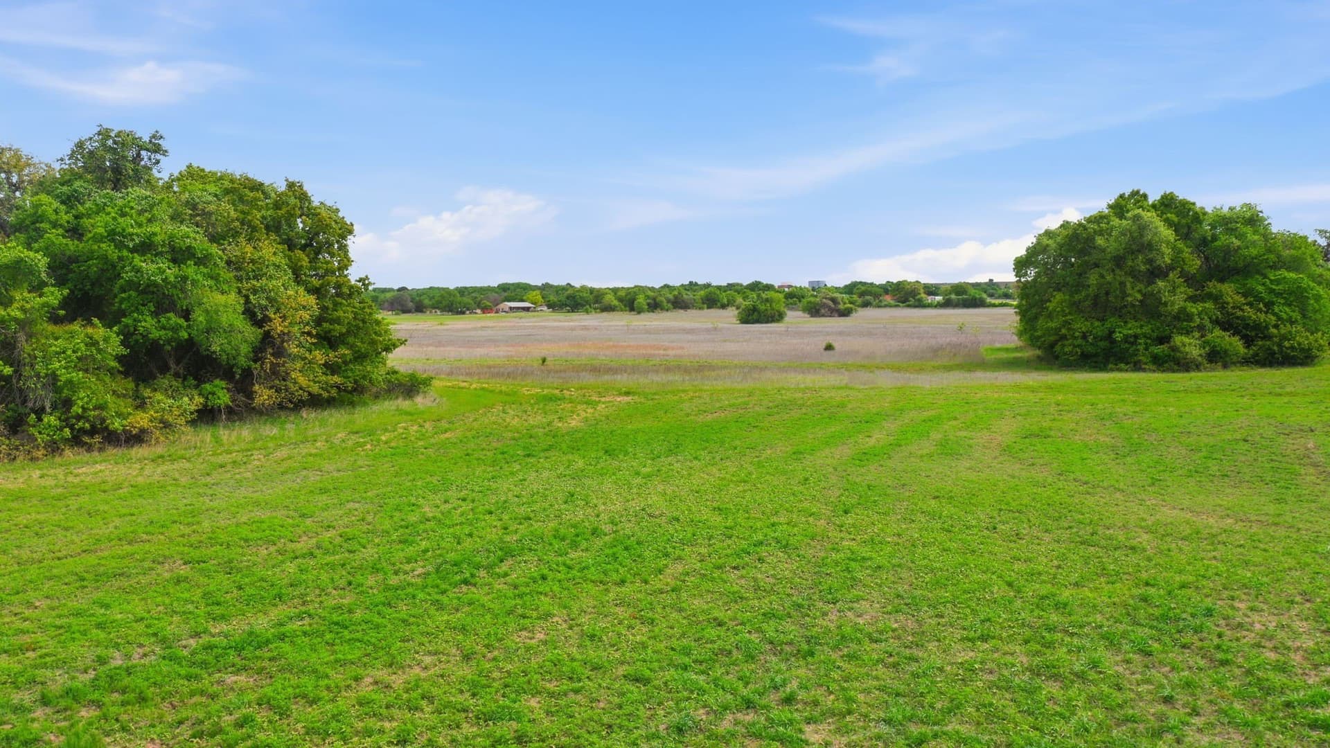81 acres in Parker County - photo 13