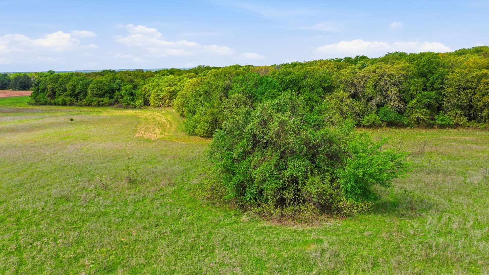 81 acres in Parker County - photo 24