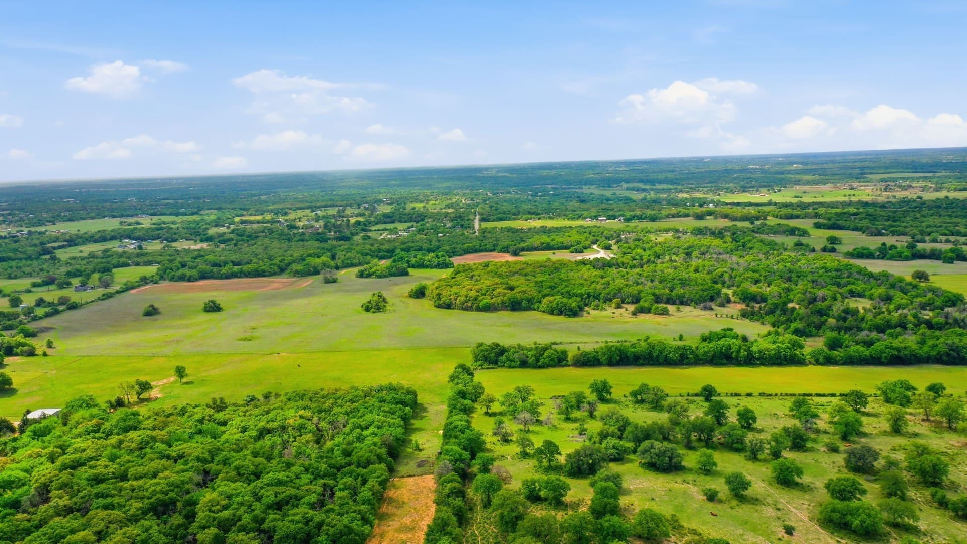 81 acres in Parker County - photo 5