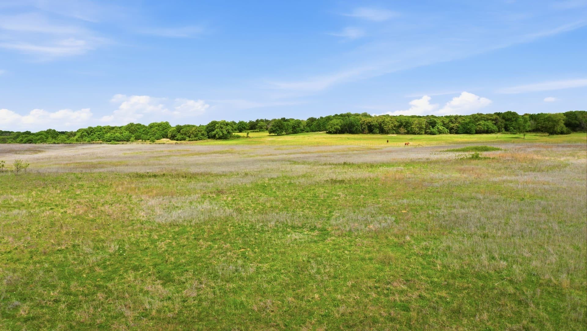 81 acres in Parker County - photo 10