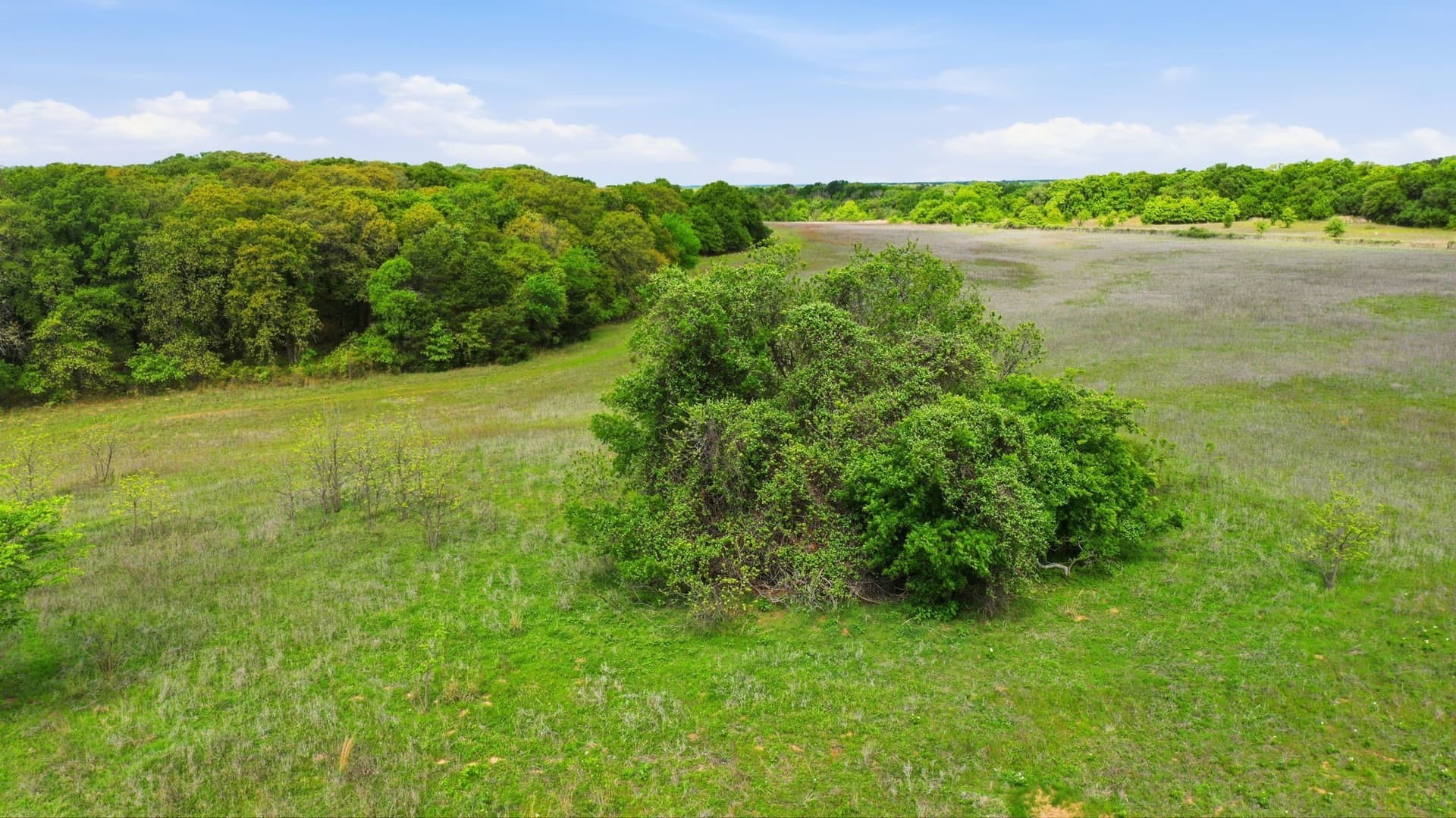 81 acres in Parker County - photo 23