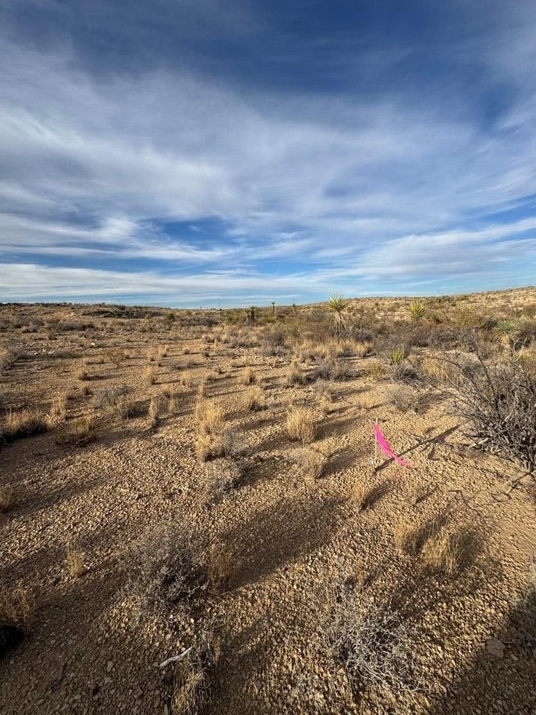 40 acres in Brewster County - photo 40