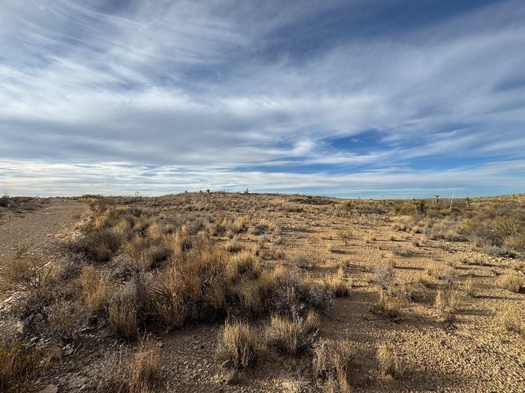 40 acres in Brewster County - photo 2