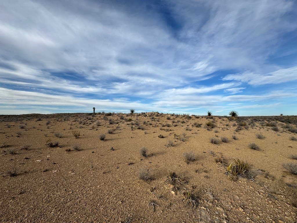 40 acres in Brewster County - photo 23