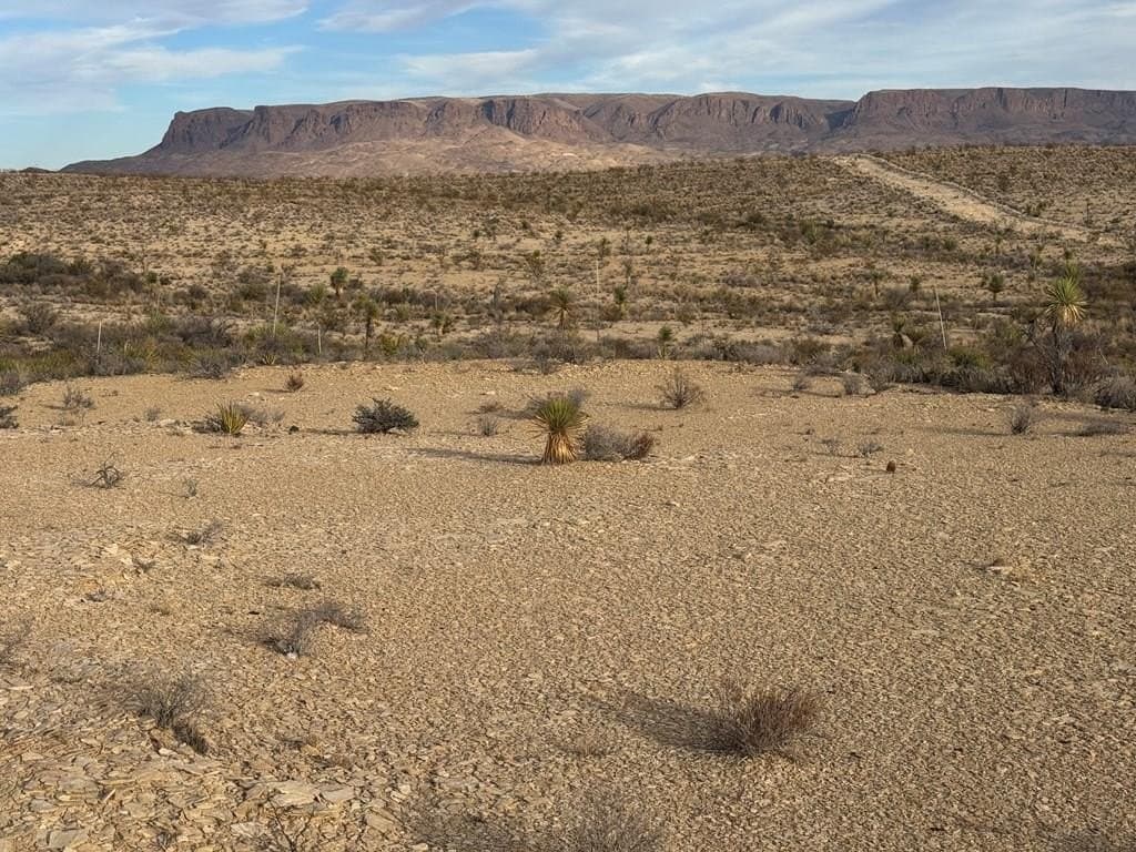 40 acres in Brewster County