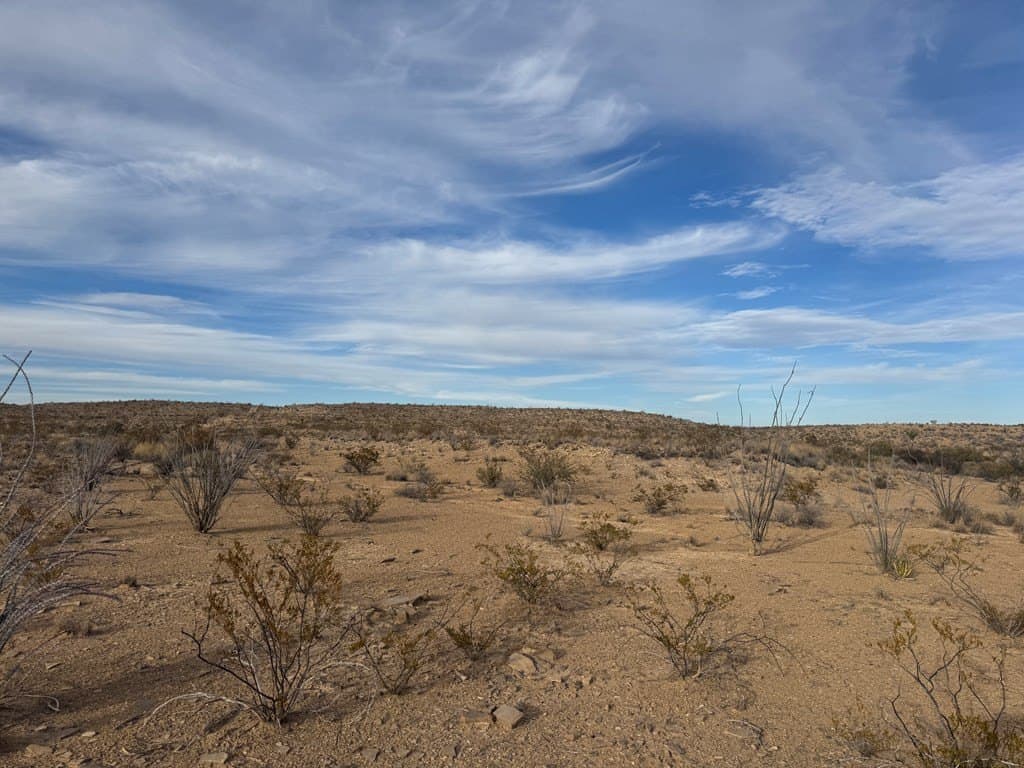 40 acres in Brewster County - photo 29