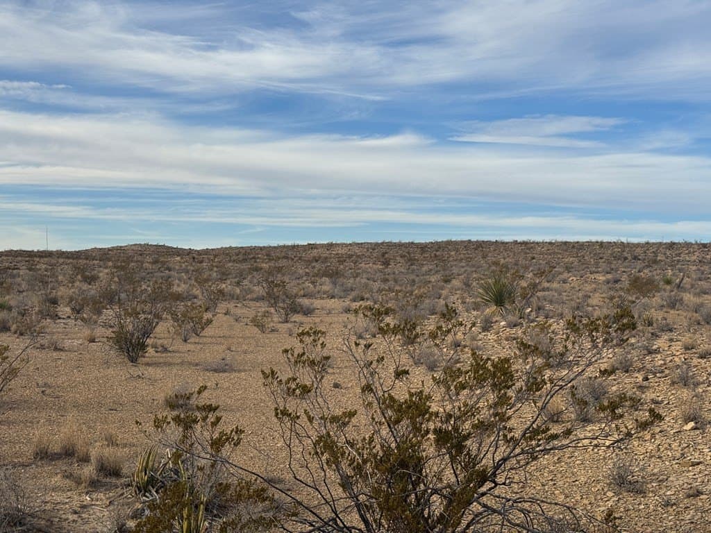 40 acres in Brewster County - photo 24