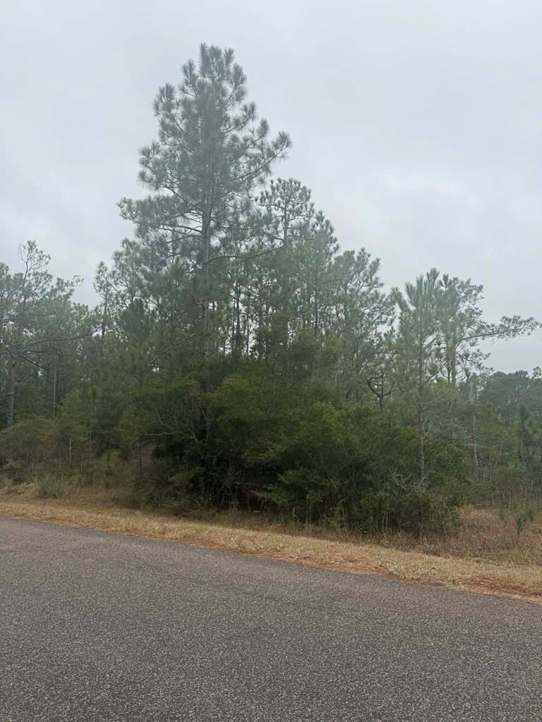 0.51 acres in Texas County - photo 3