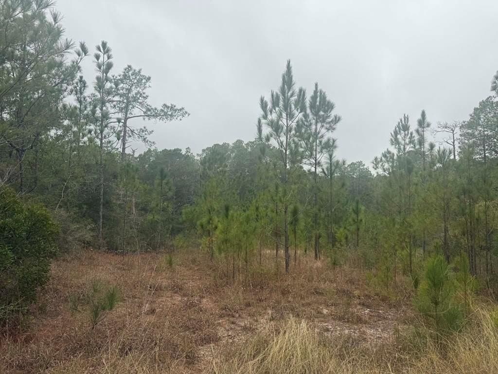 0.51 acres in Texas County
