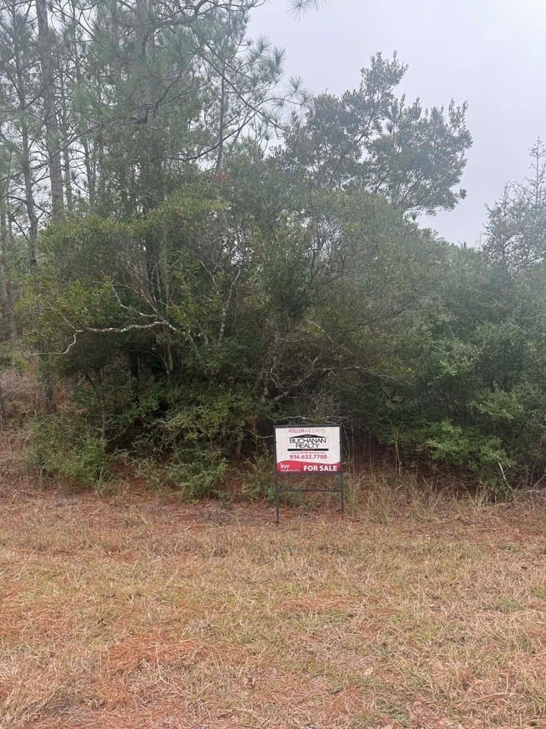 0.51 acres in Texas County - photo 5