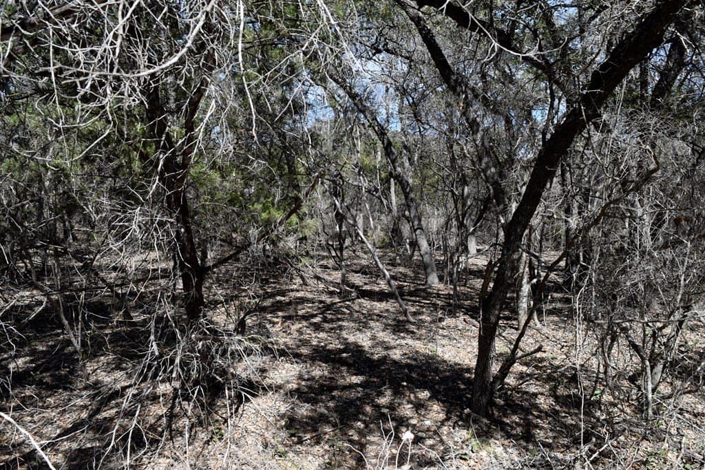 10 acres in Bandera County - photo 6