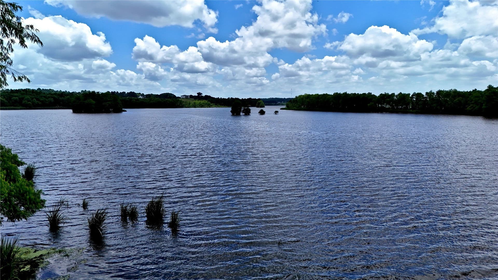 1.63 acres in Henderson County gallery image 2