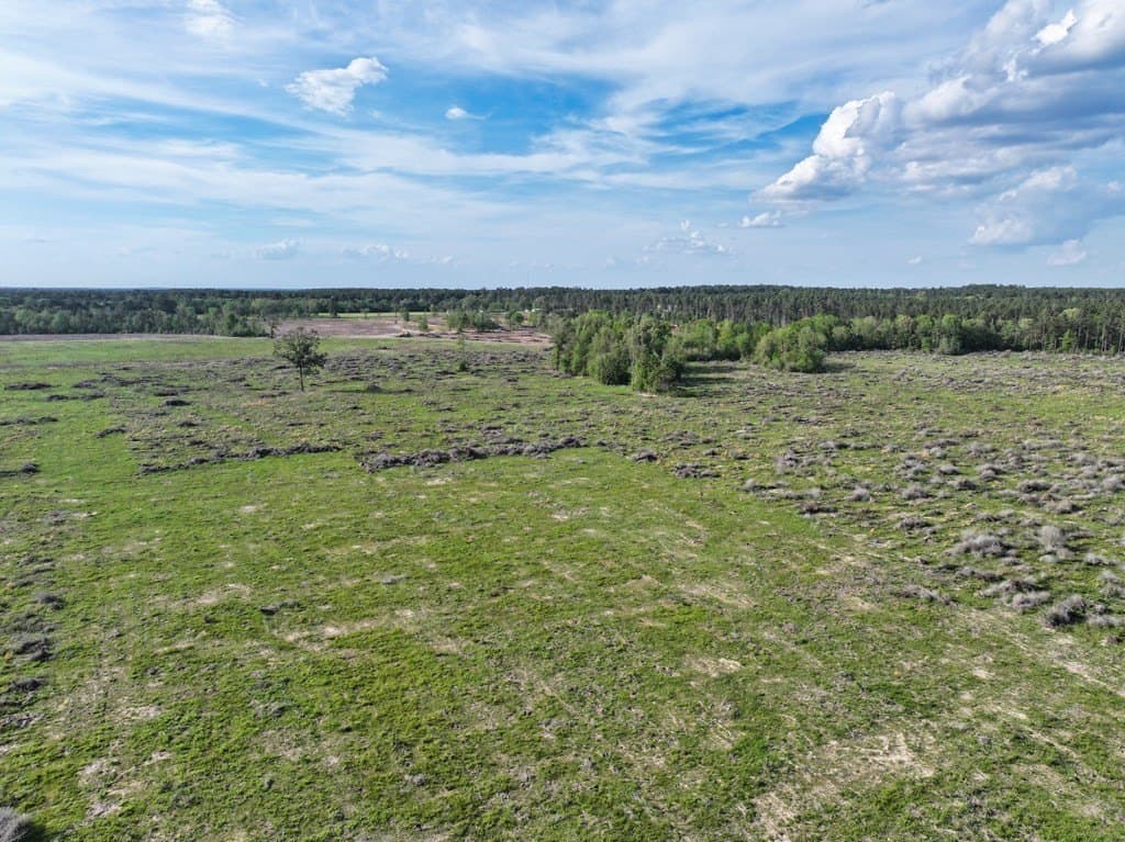 10 acres in Texas County - photo 47