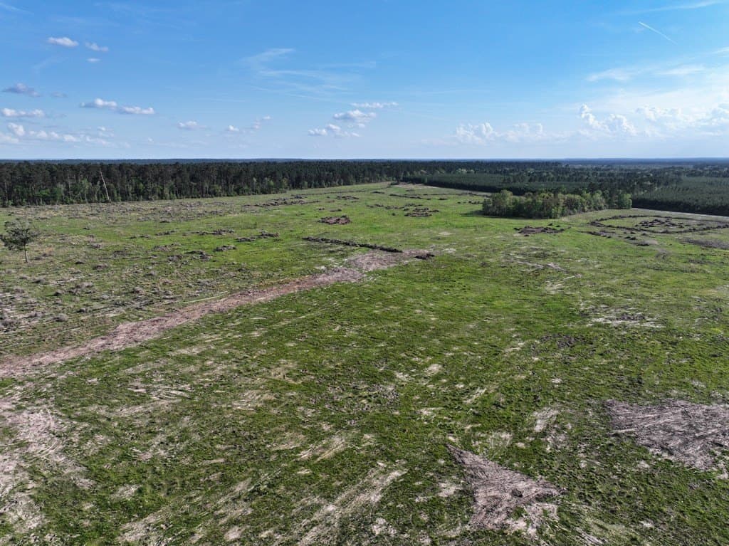 10 acres in Texas County - photo 54