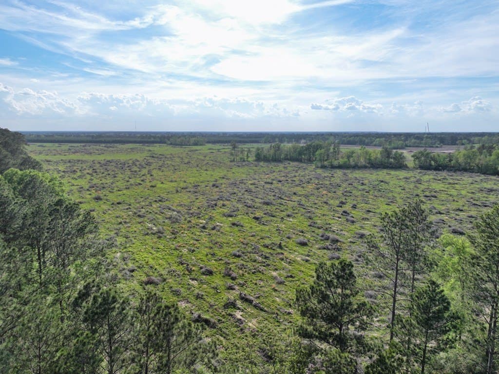 10 acres in Texas County - photo 44