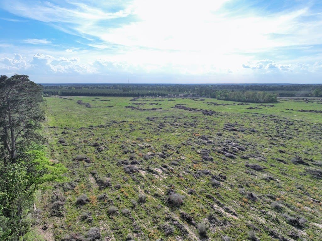 10 acres in Texas County - photo 45