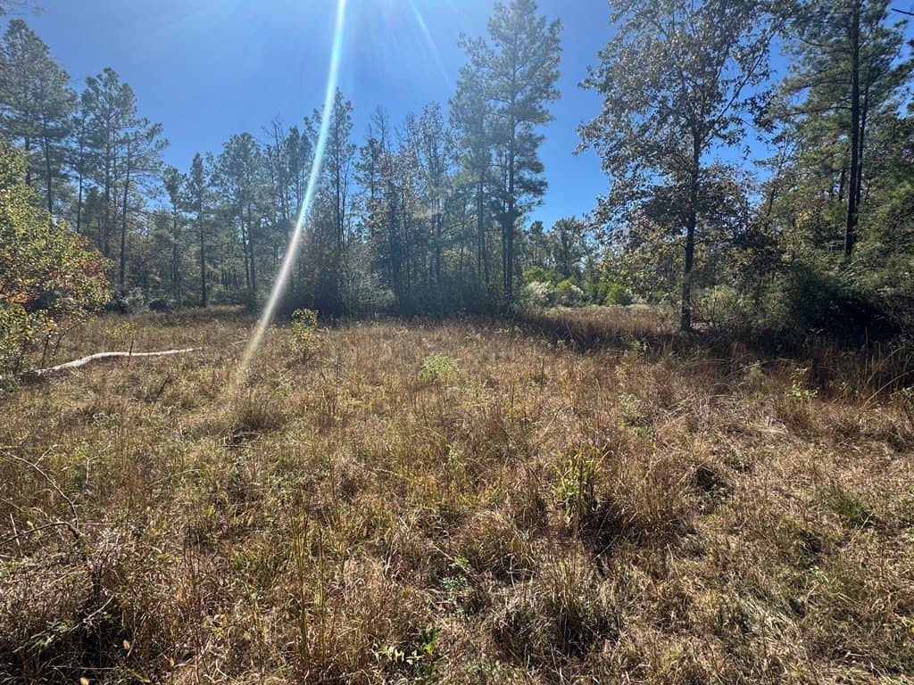 46.64 acres in Texas County gallery image 3