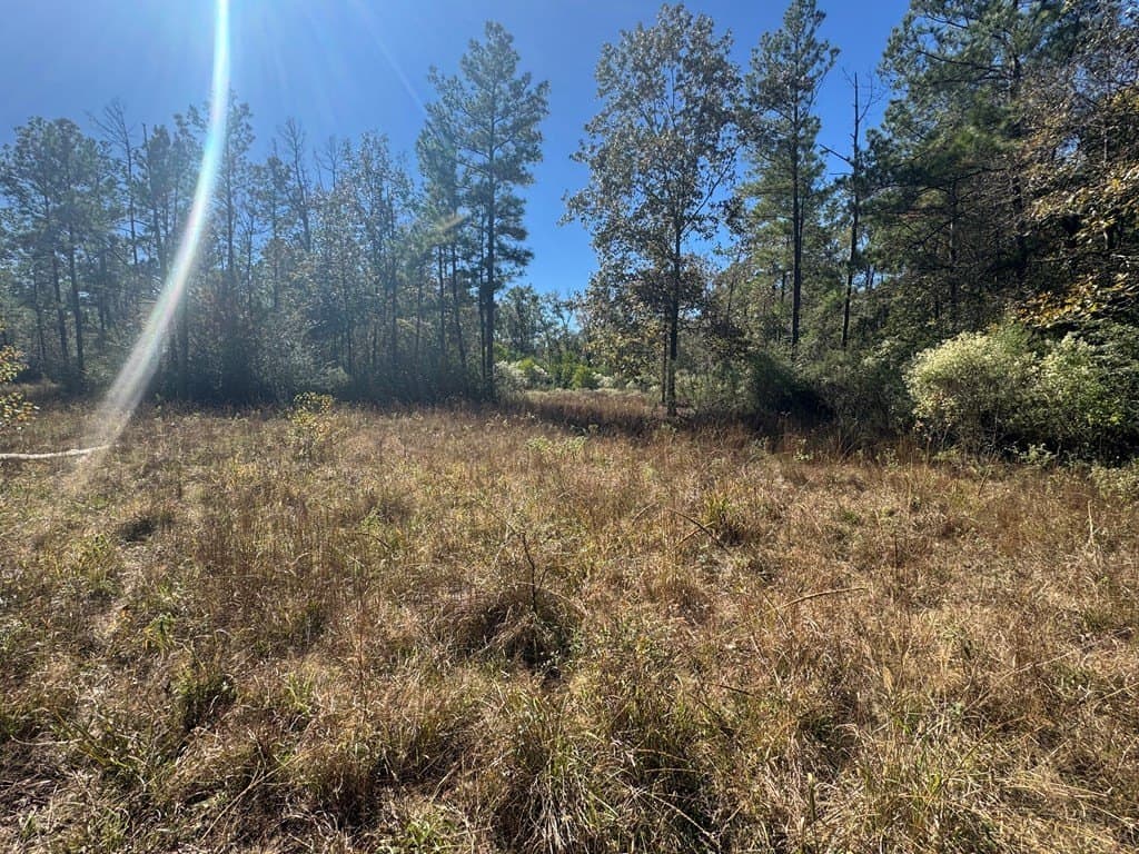 46.64 acres in Texas County gallery image 4