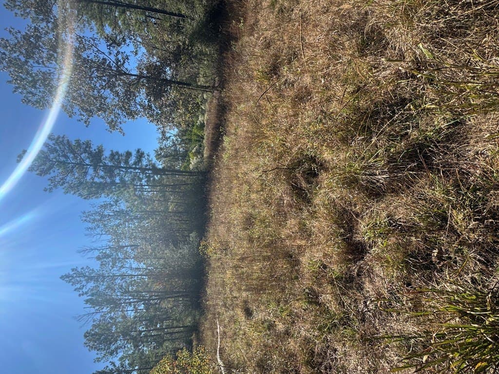 46.64 acres in Texas County featured view