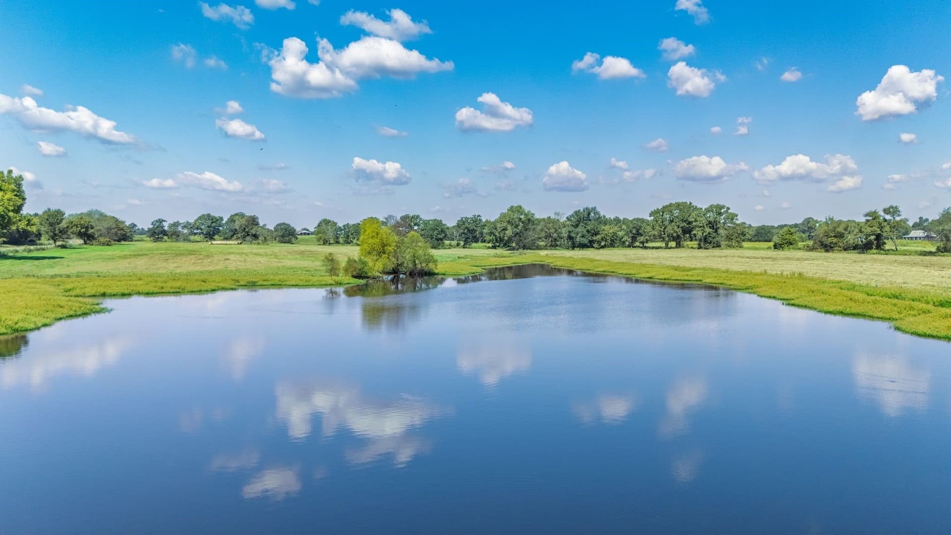 31.69 acres in Hopkins County featured view