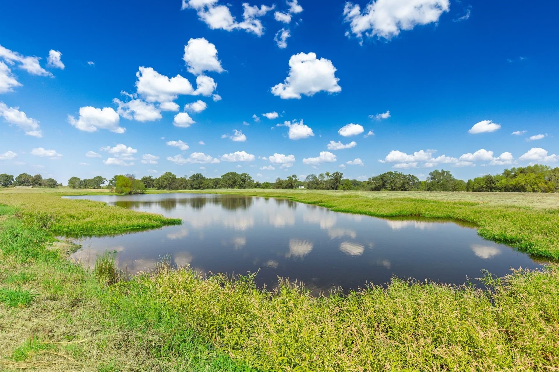 31.69 acres in Hopkins County gallery image 4