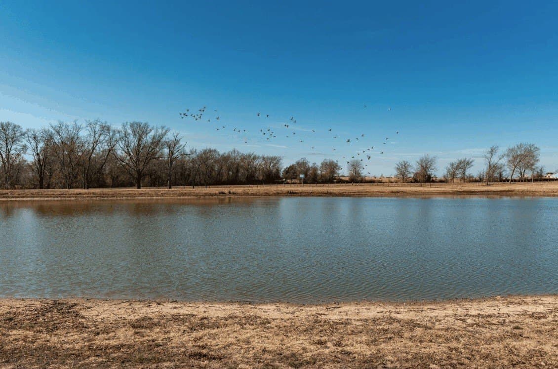 31.69 acres in Hopkins County gallery image 2