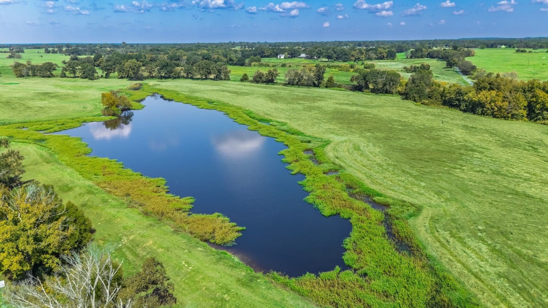 31.69 acres in Hopkins County gallery image 3