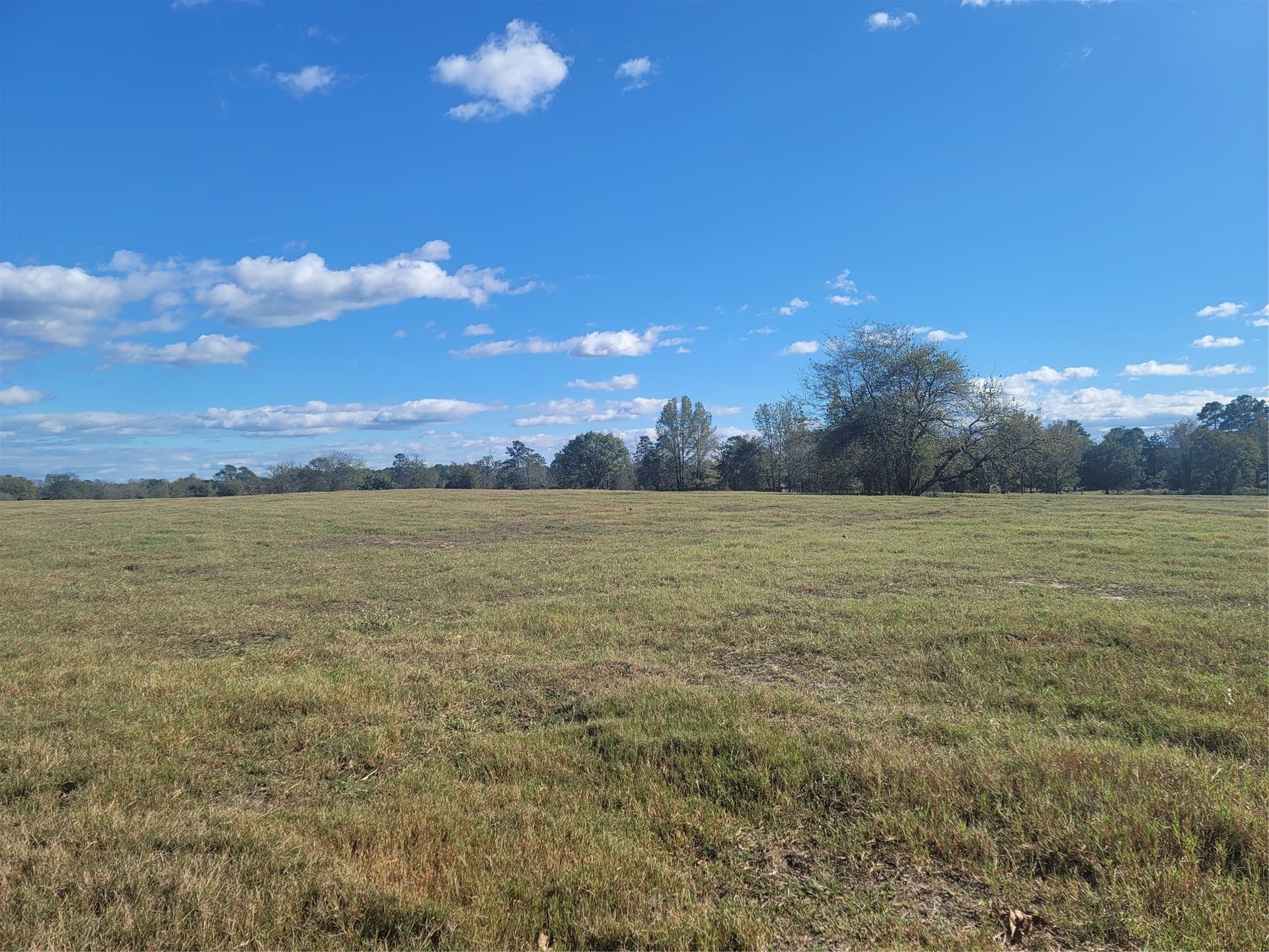 15.5 acres in Upshur County - photo 3