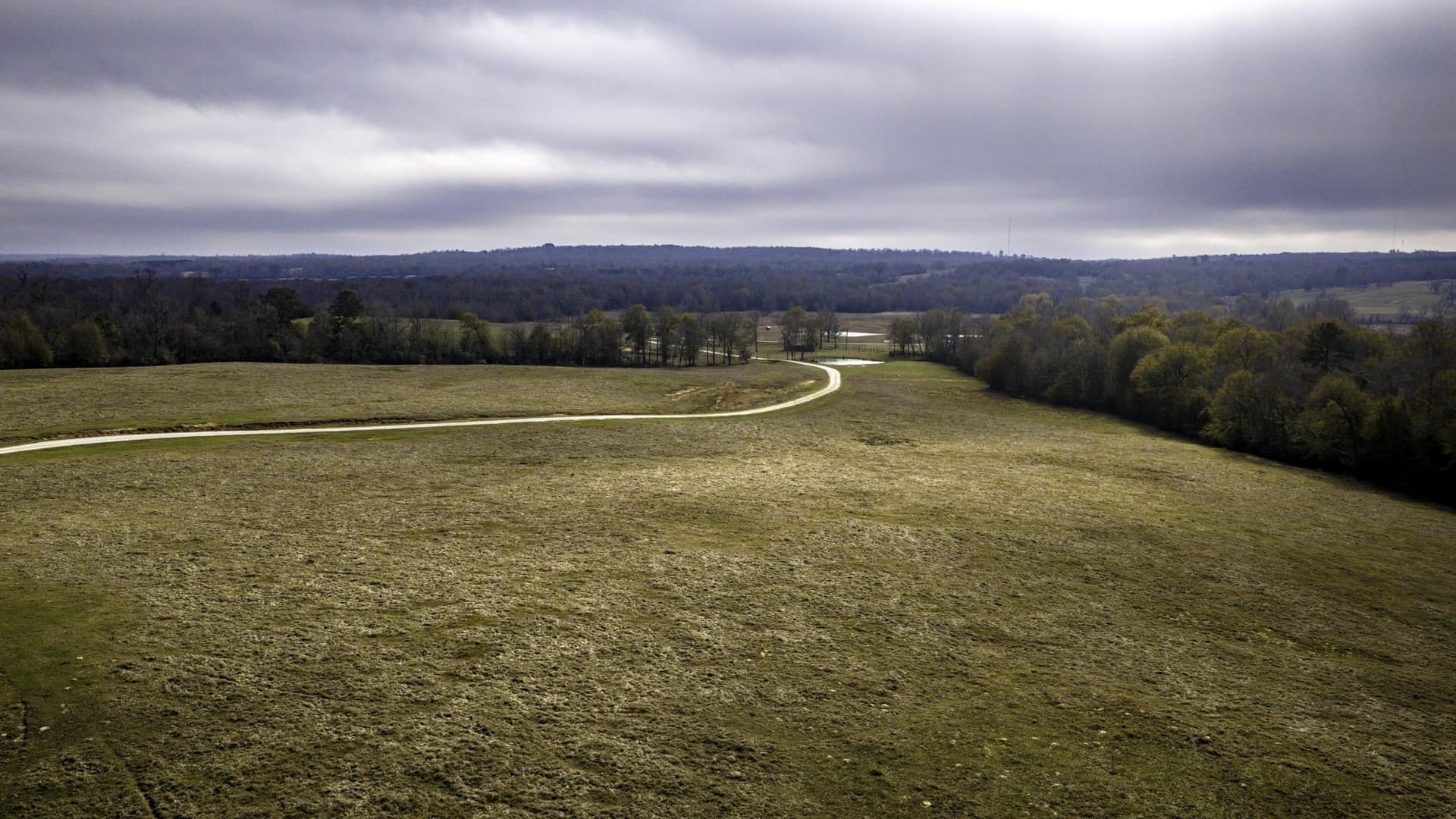 90.5 acres in Leon County - photo 29
