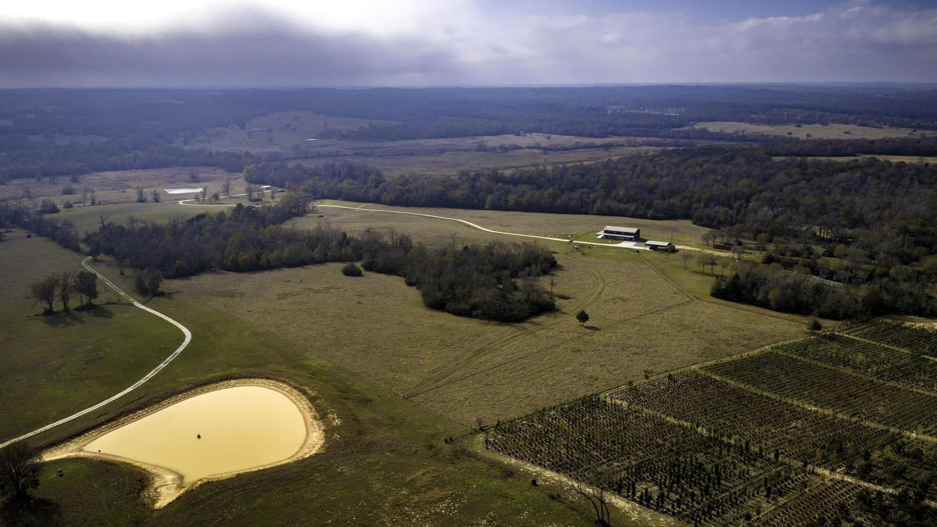 90.5 acres in Leon County - photo 36