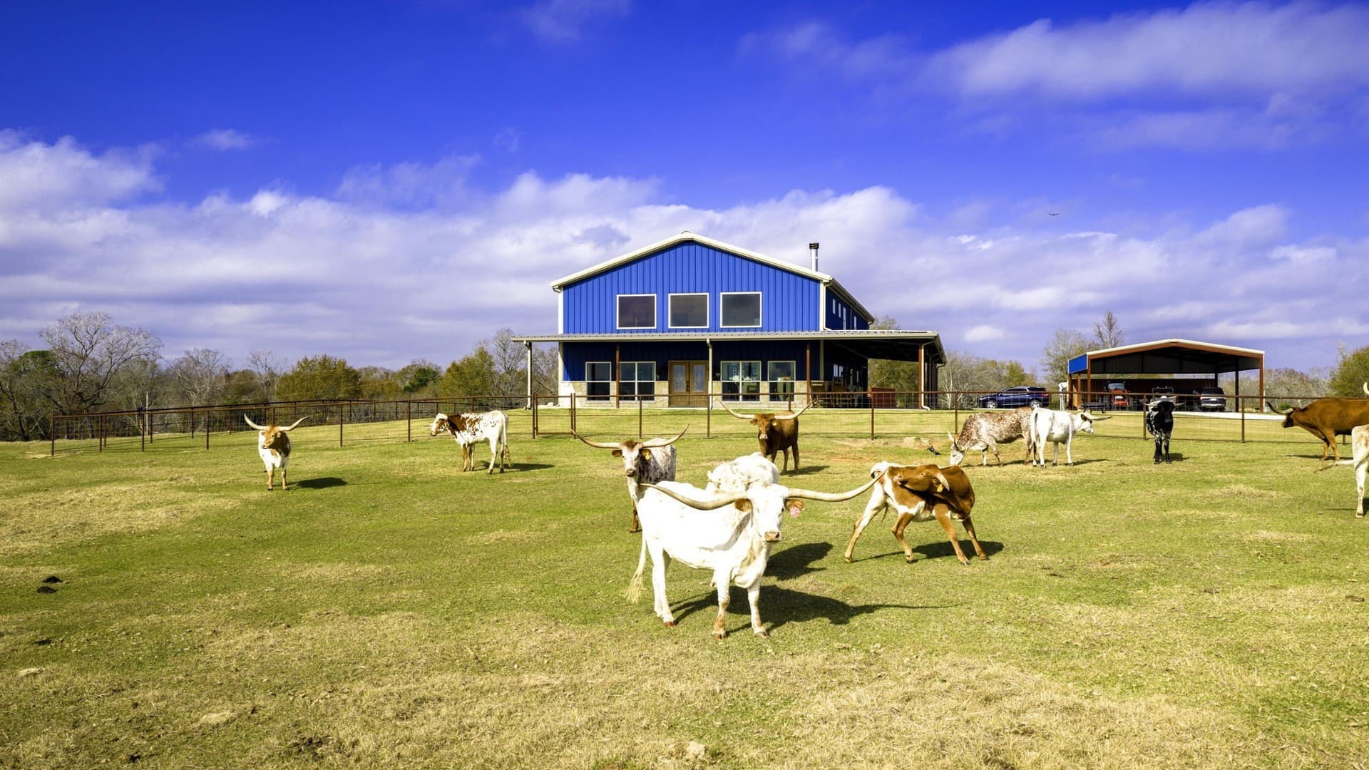 90.5 acres in Leon County - photo 39