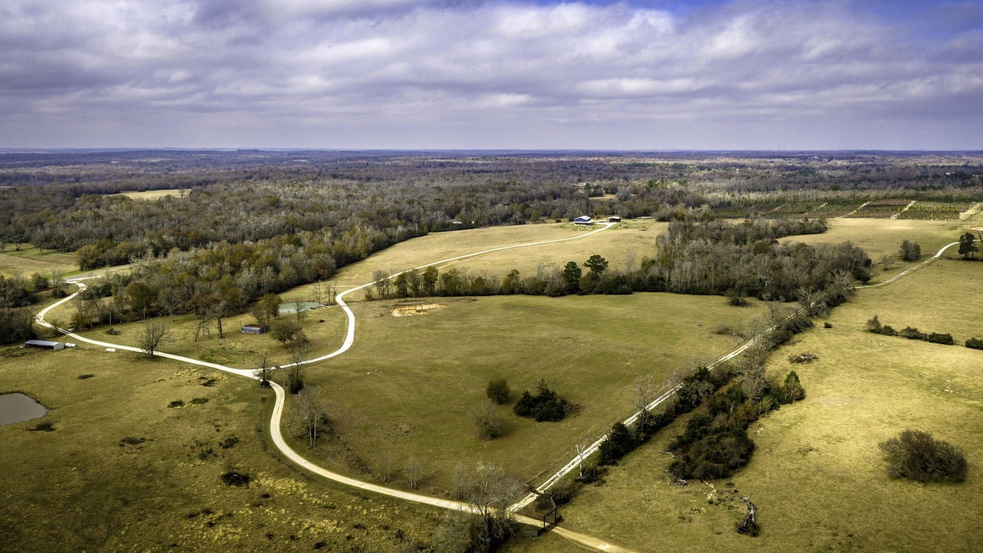 90.5 acres in Leon County - photo 31