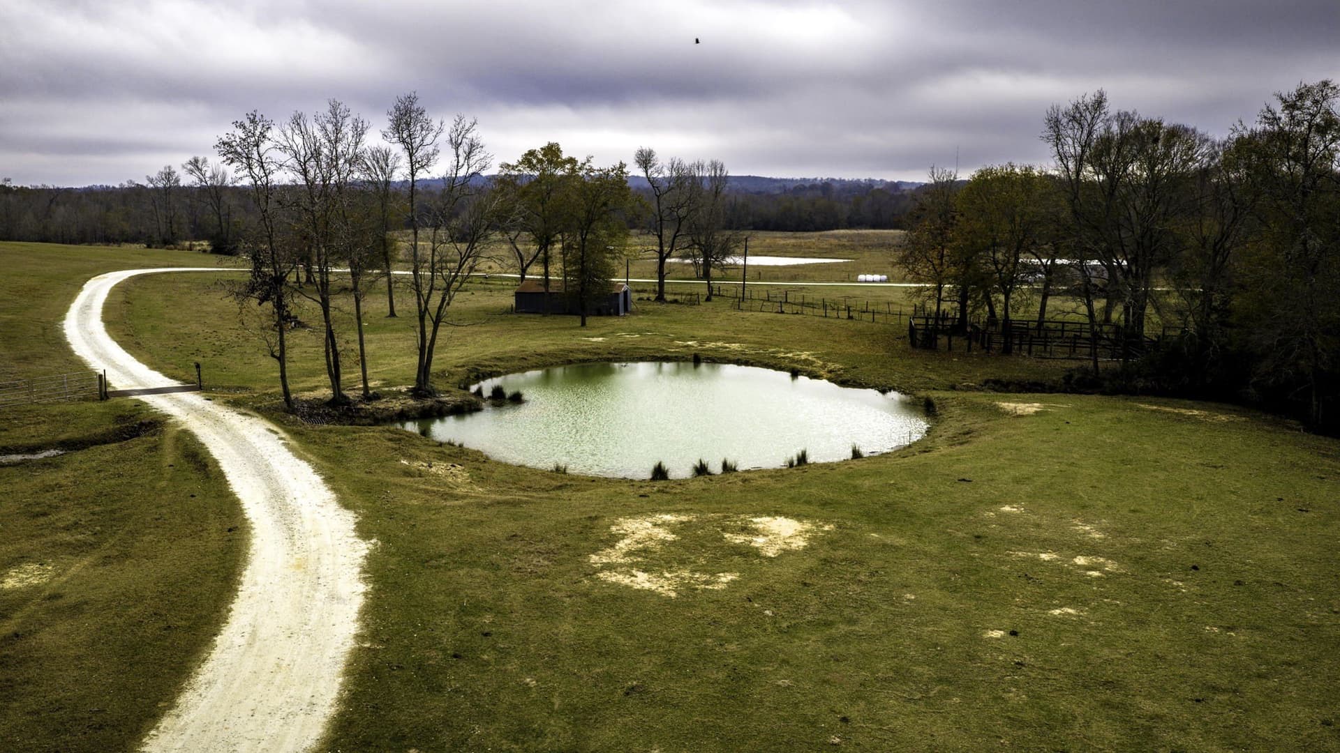 90.5 acres in Leon County - photo 30