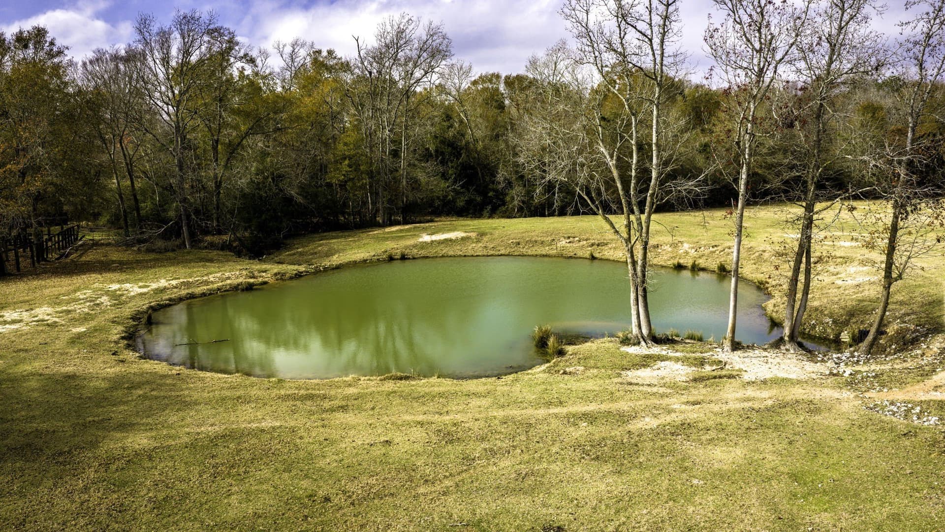 90.5 acres in Leon County - photo 33