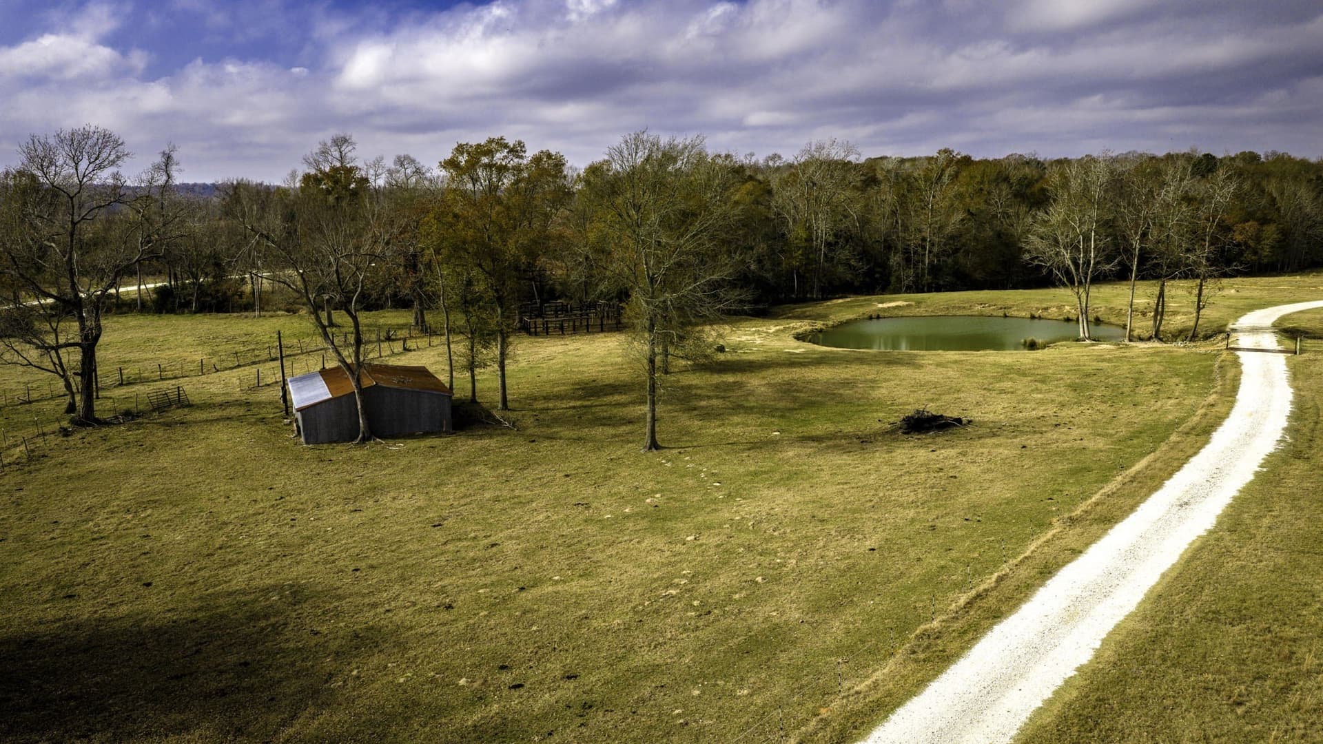 90.5 acres in Leon County - photo 32