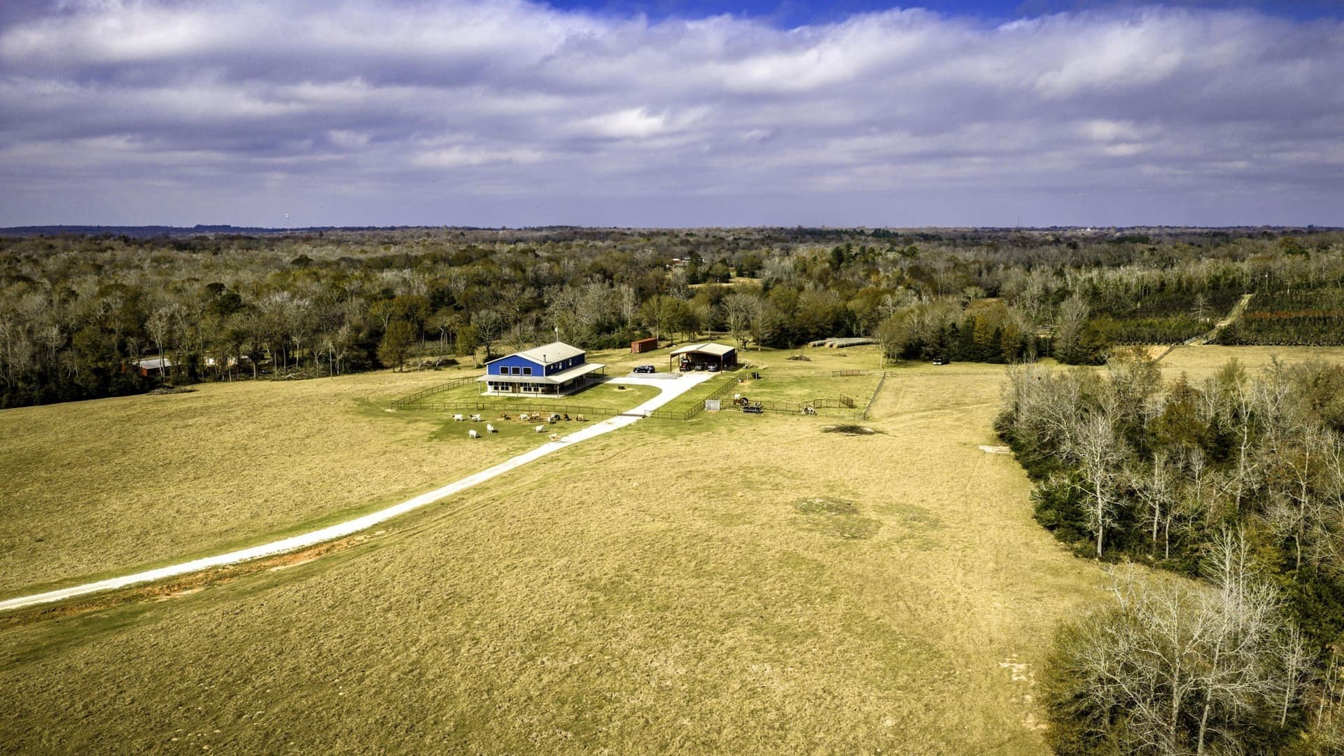 90.5 acres in Leon County - photo 34