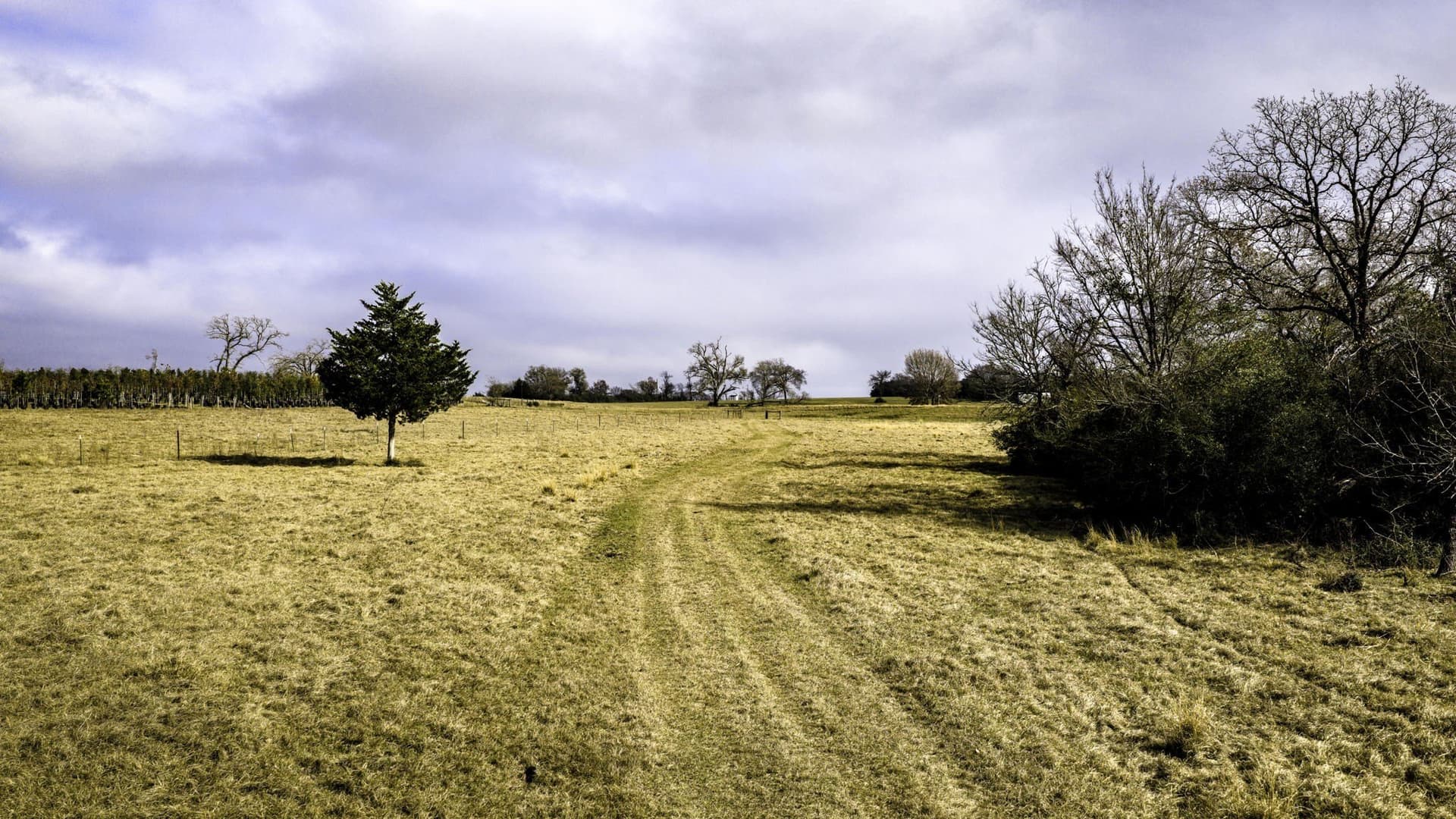 90.5 acres in Leon County - photo 35