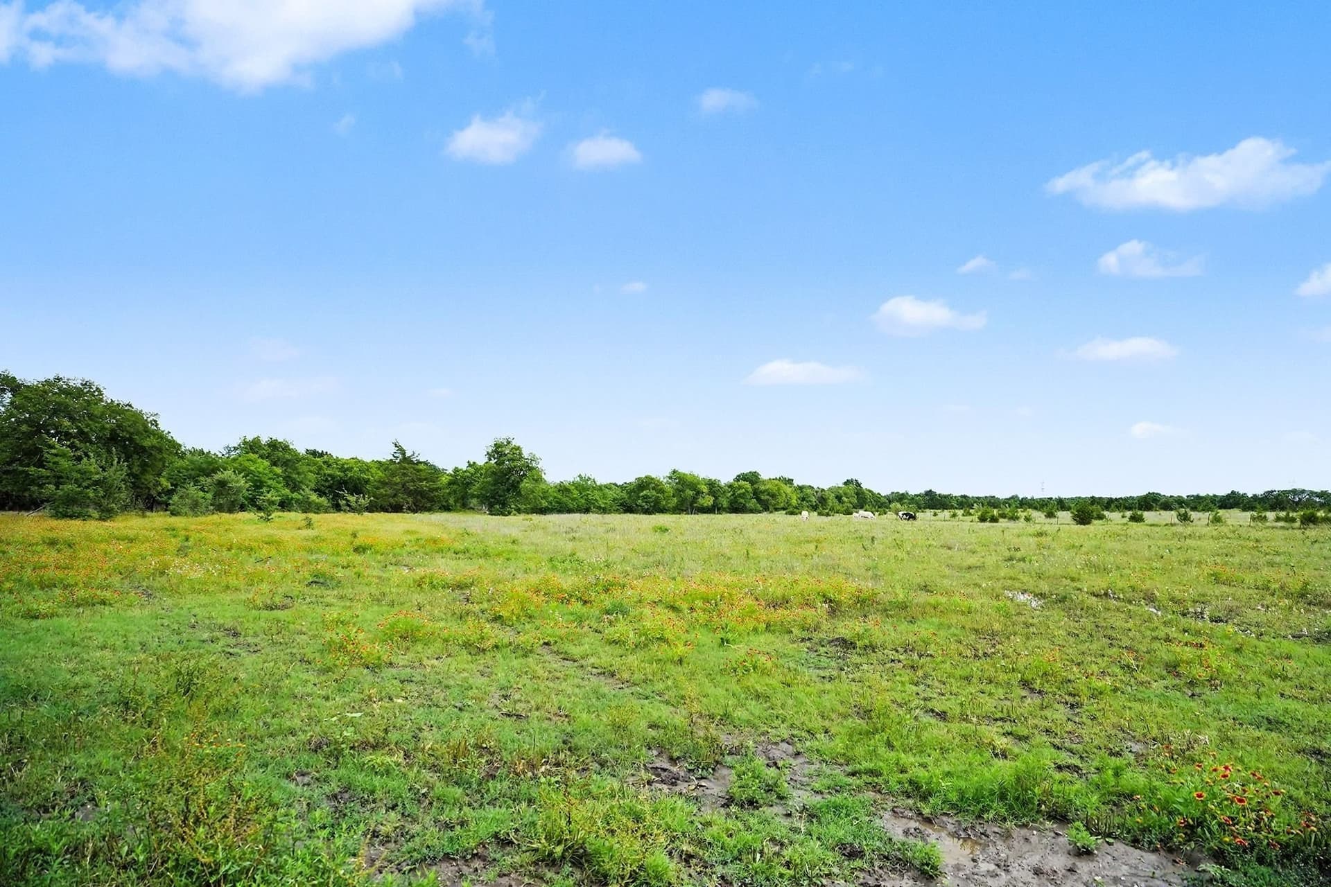 11.16 acres in Ellis County - photo 28