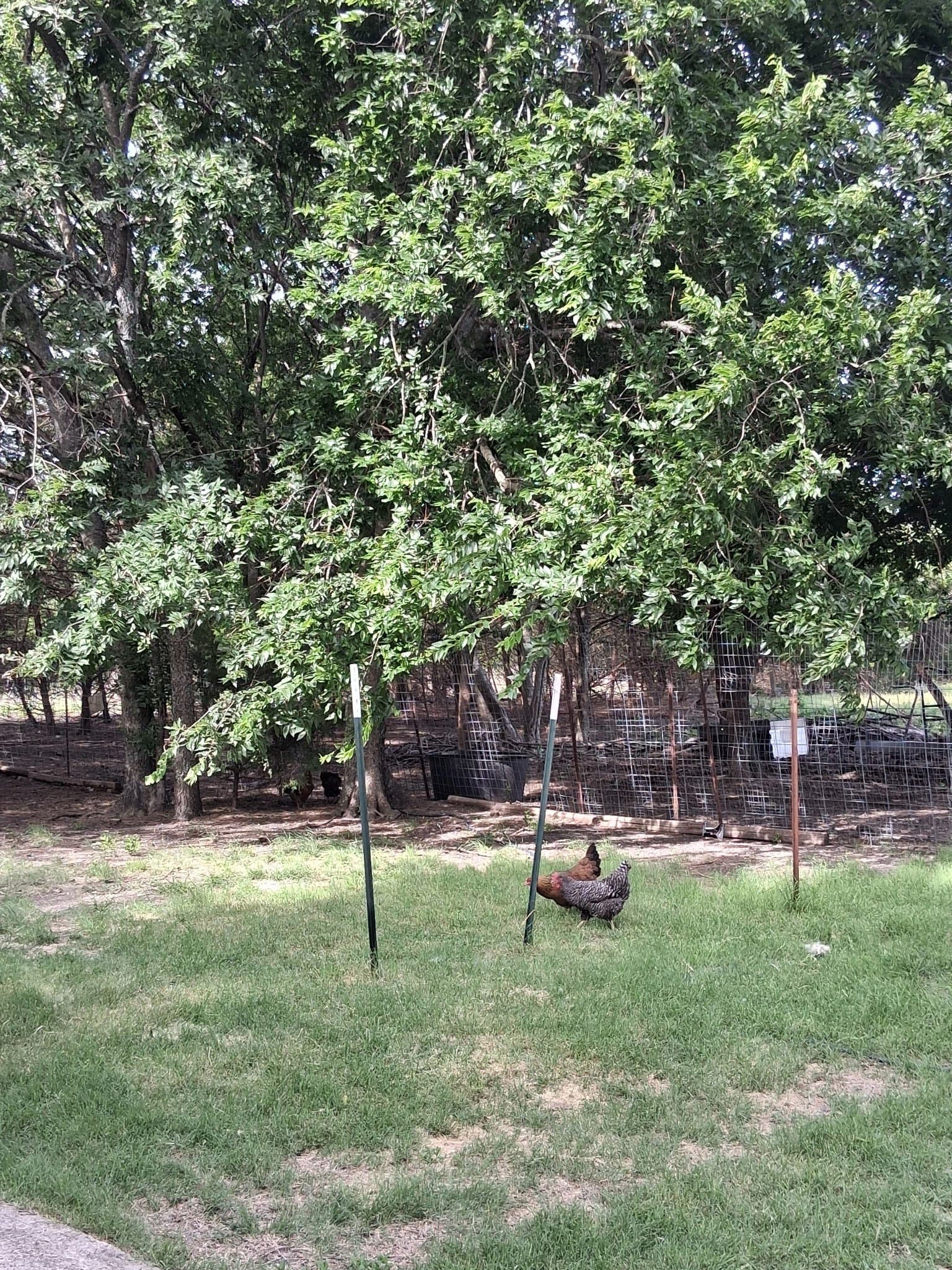 11.16 acres in Ellis County - photo 26