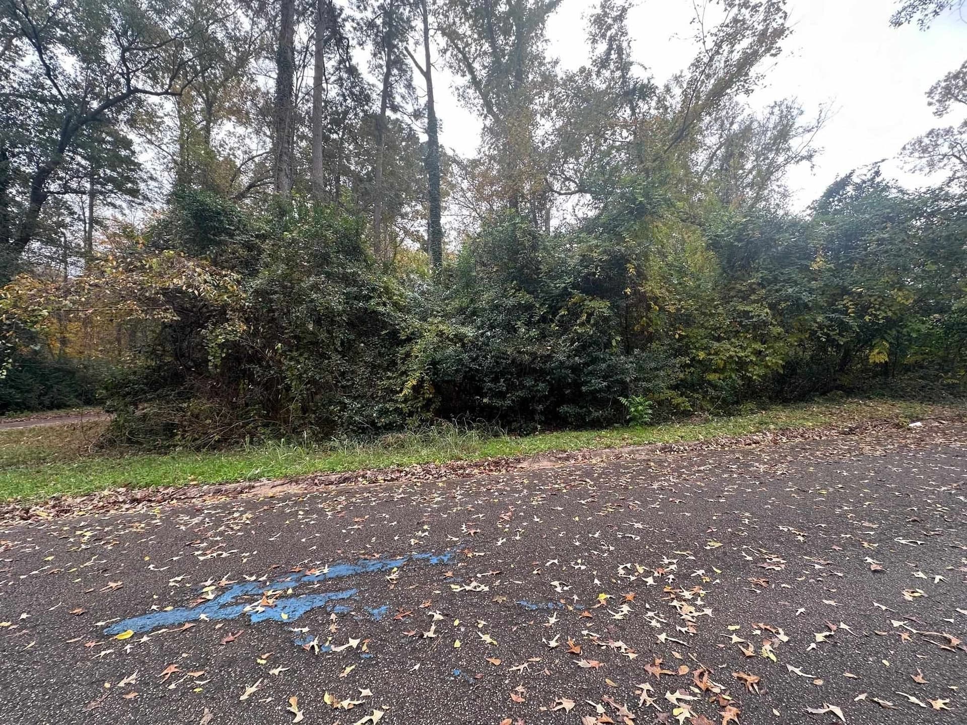 0.38 acres in Gregg County