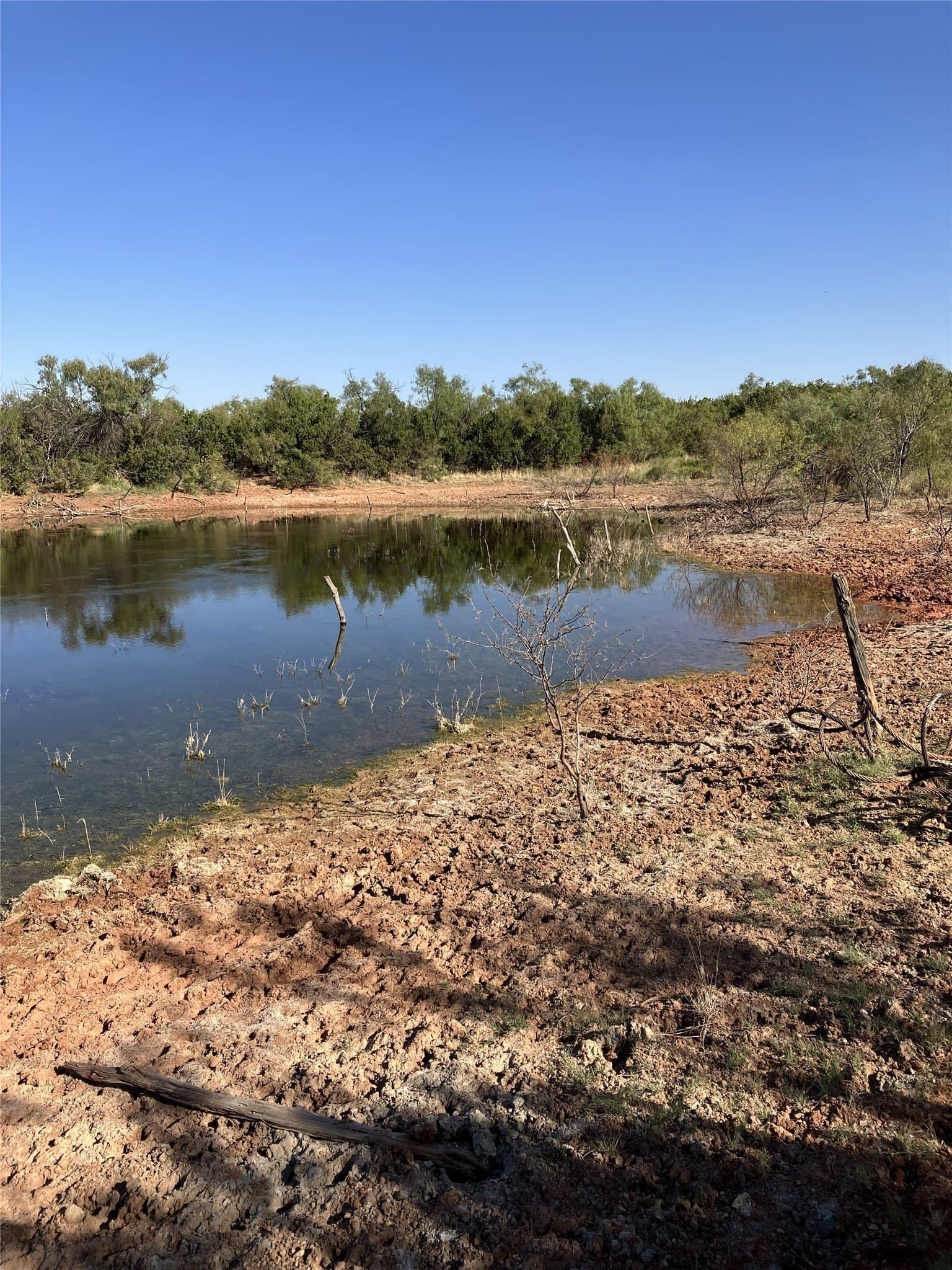 319 acres in Knox County - photo 9