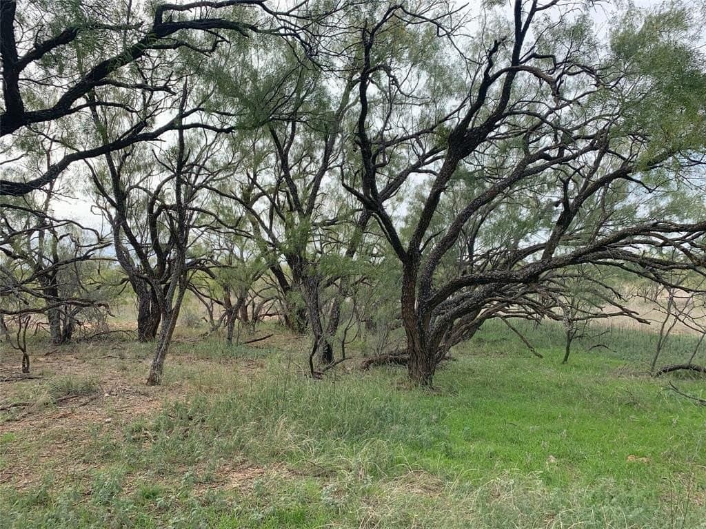 100 acres in Nolan County gallery image 3