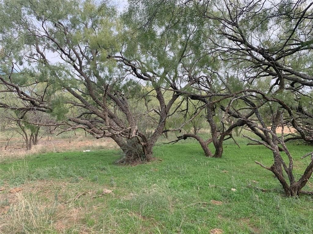 100 acres in Nolan County gallery image 4