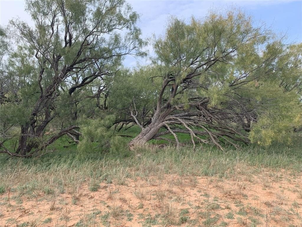 100 acres in Nolan County
