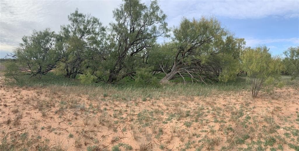 100 acres in Nolan County gallery image 2